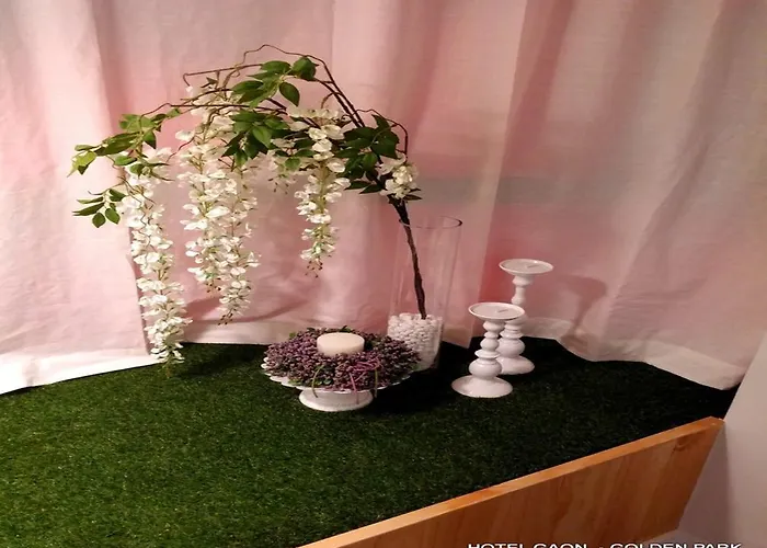 Gaon Golden Park Dongdaemun Hotel 3*